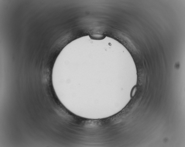 X0000116860077201001191710