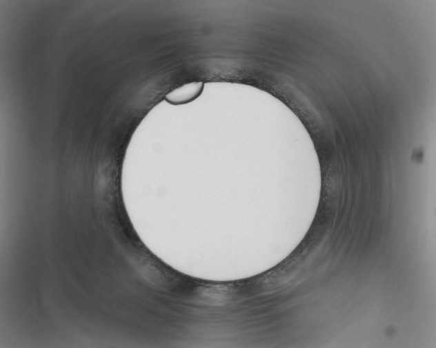 X0000116860079201001191710