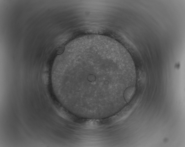 X0000116860080201001191710