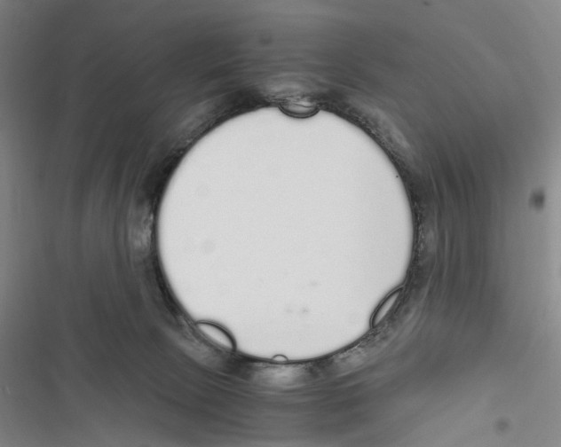 X0000116860081201001191710