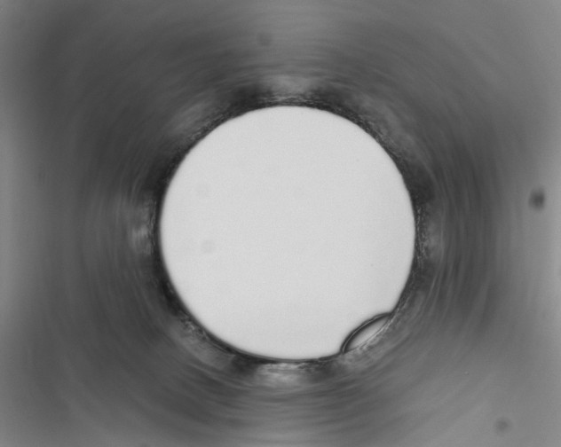 X0000116860082201001191710