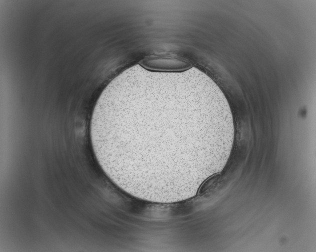 X0000116860084201001191710