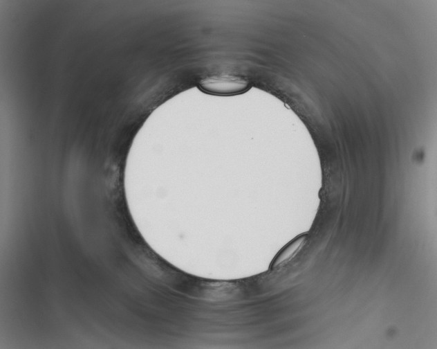 X0000116860087201001191710