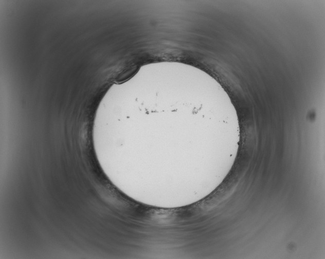 X0000116860088201001191711