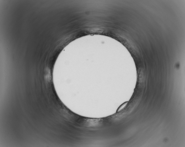 X0000116860089201001191711