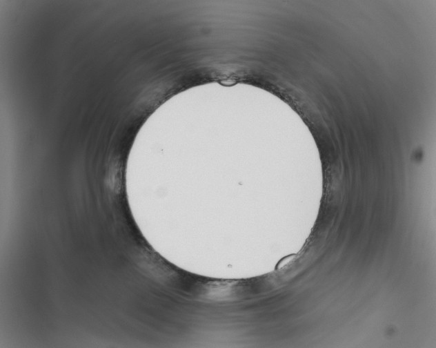 X0000116860090201001191711