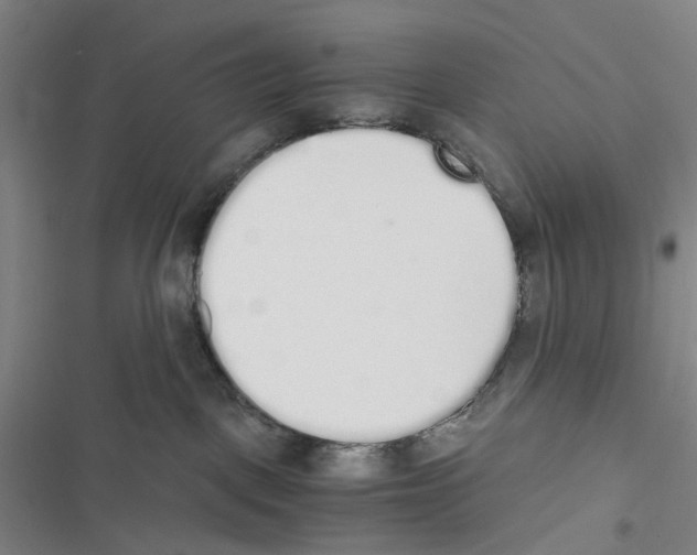 X0000116860093201001191711