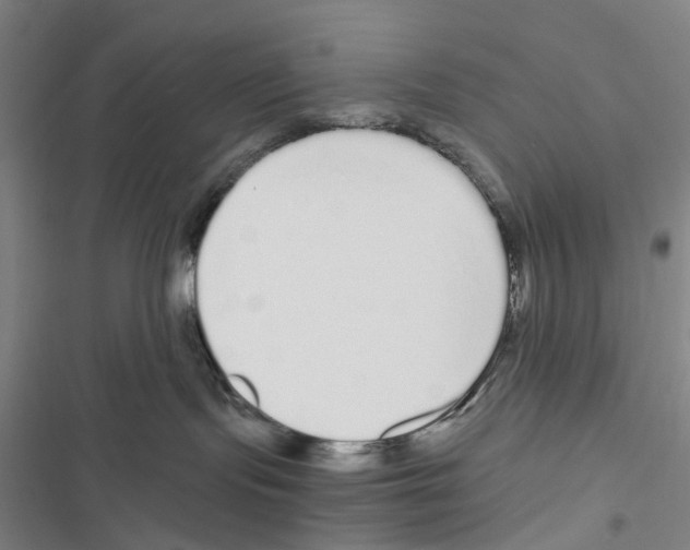 X0000116860095201001191711