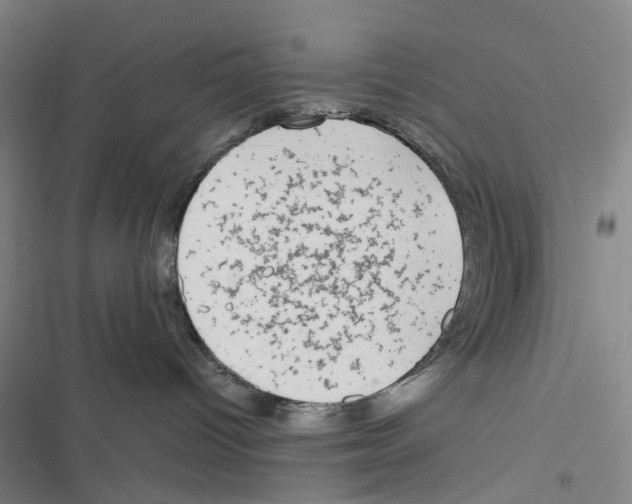 X0000116860096201001191711