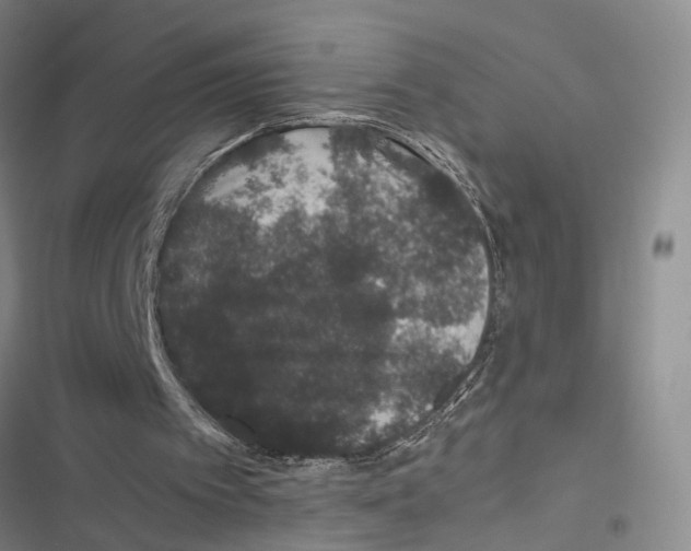 X0000116860097201001191710