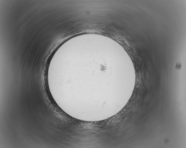 X0000116860098201001191710