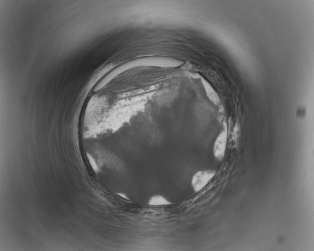 X0000116860099201001191710