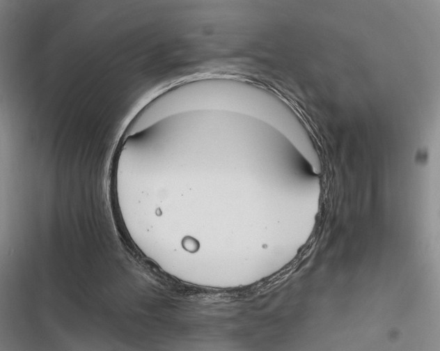 X0000116860100201001191710