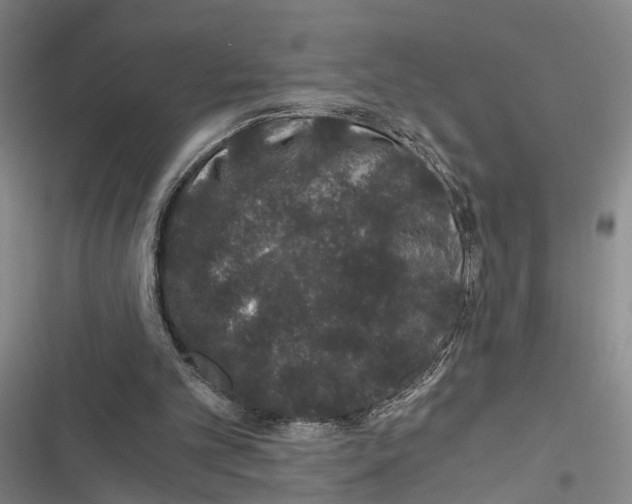 X0000116860101201001191710