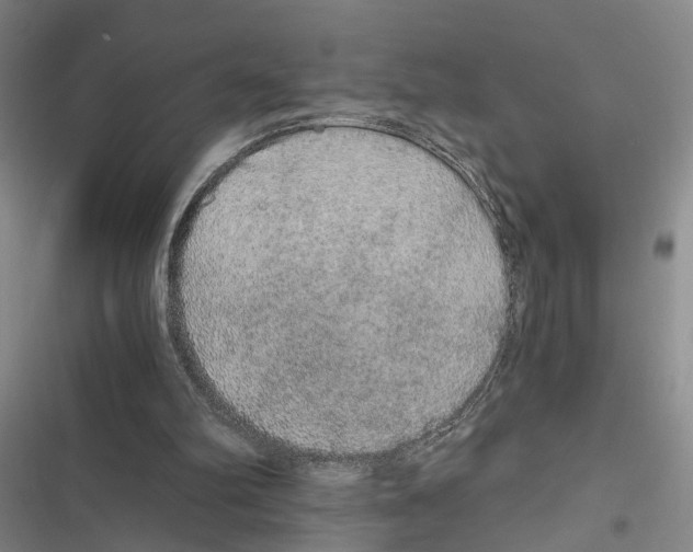 X0000116860102201001191710