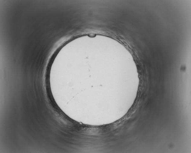 X0000116860104201001191710