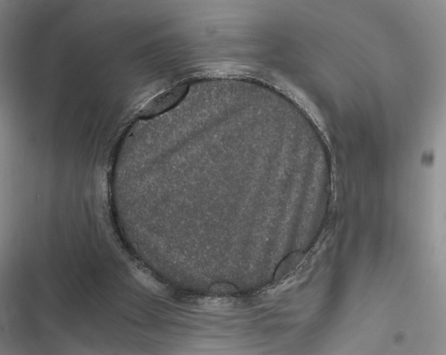 X0000116860105201001191710