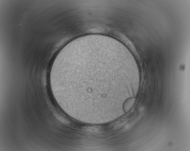 X0000116860106201001191710