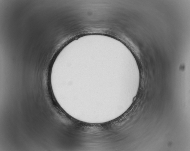 X0000116860107201001191710