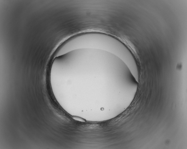 X0000116860108201001191710