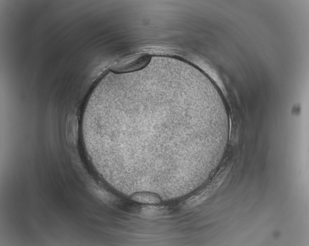 X0000116860109201001191710