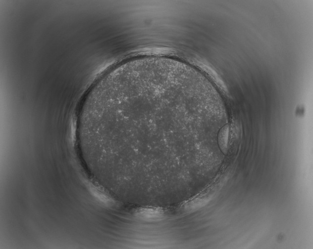 X0000116860110201001191710