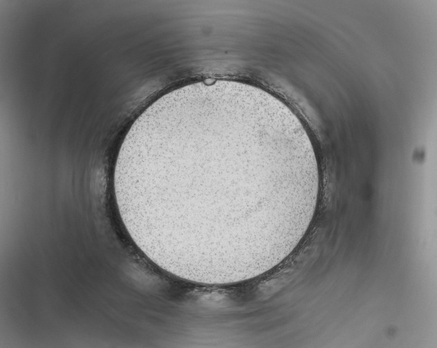 X0000116860113201001191710