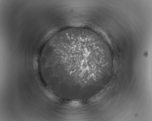 X0000116860114201001191710