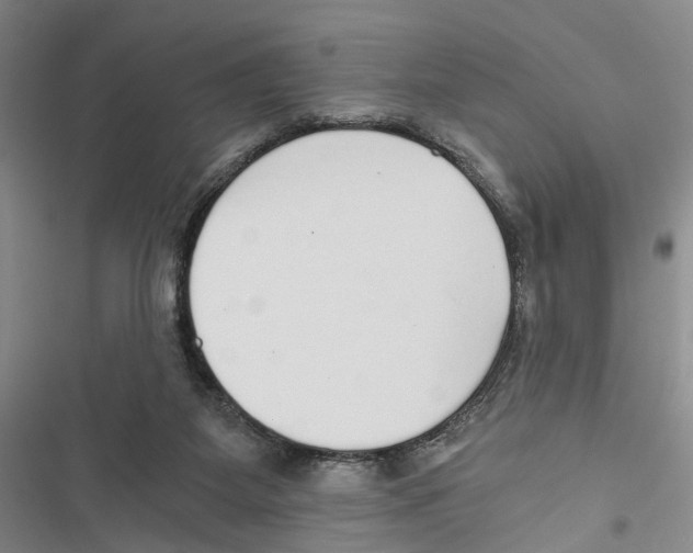 X0000116860115201001191710