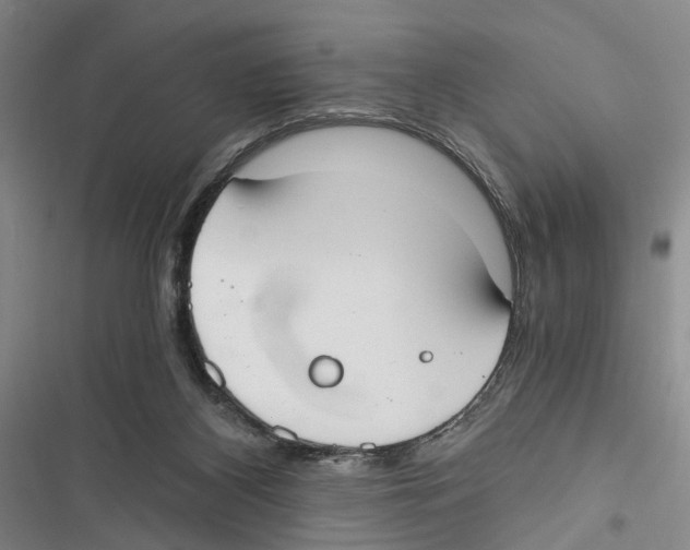 X0000116860116201001191710