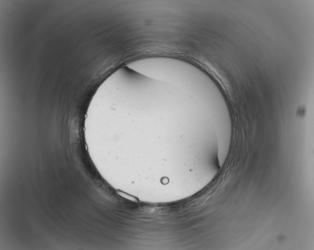 X0000116860117201001191710