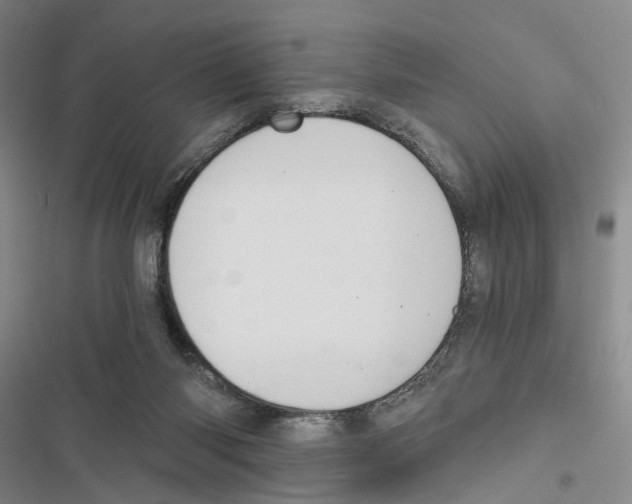 X0000116860118201001191710