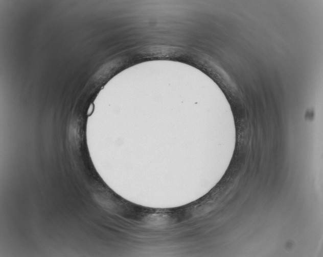 X0000116860119201001191710