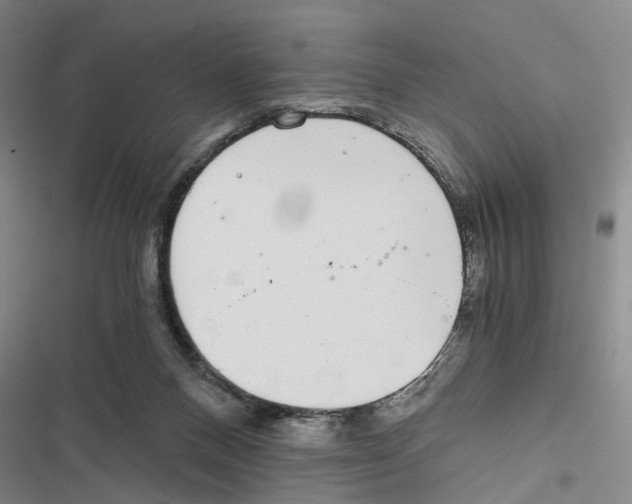 X0000116860120201001191710