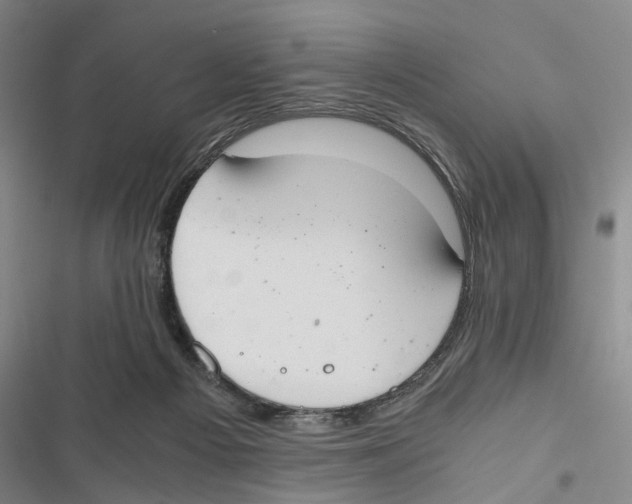 X0000116860121201001191710