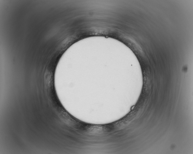 X0000116860123201001191710