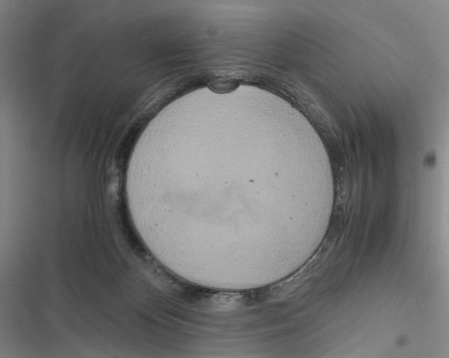 X0000116860124201001191710