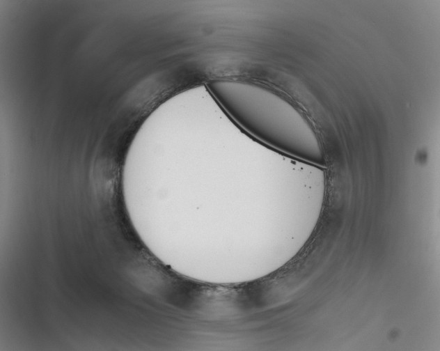 X0000116860125201001191710