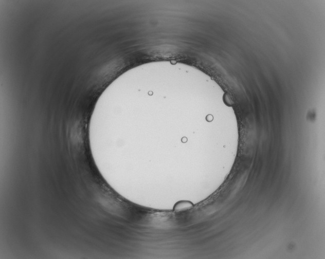 X0000116860126201001191710