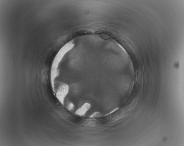 X0000116860127201001191710