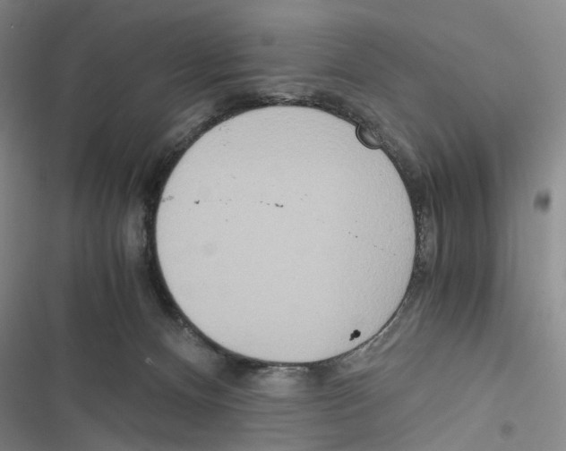 X0000116860128201001191710