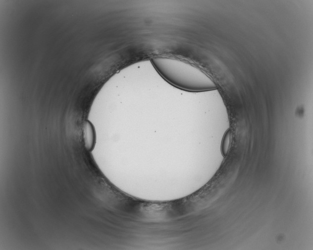 X0000116860129201001191710