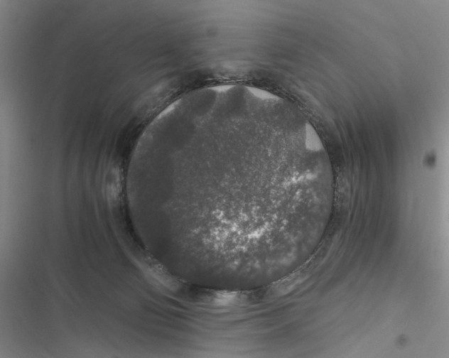 X0000116860130201001191710