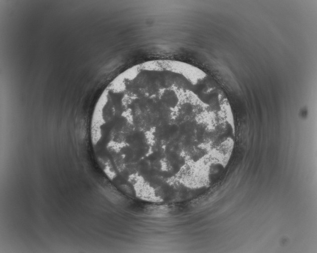 X0000116860131201001191710