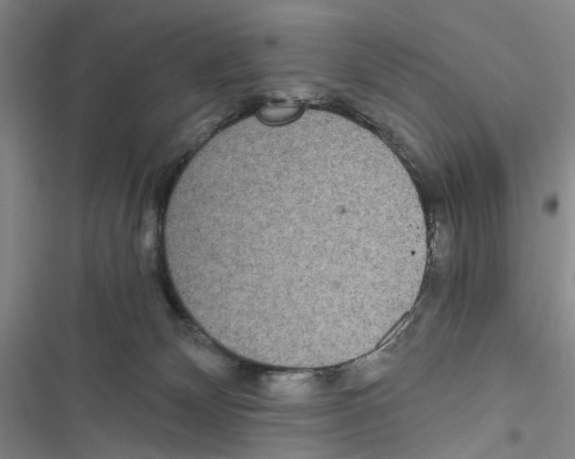 X0000116860132201001191709