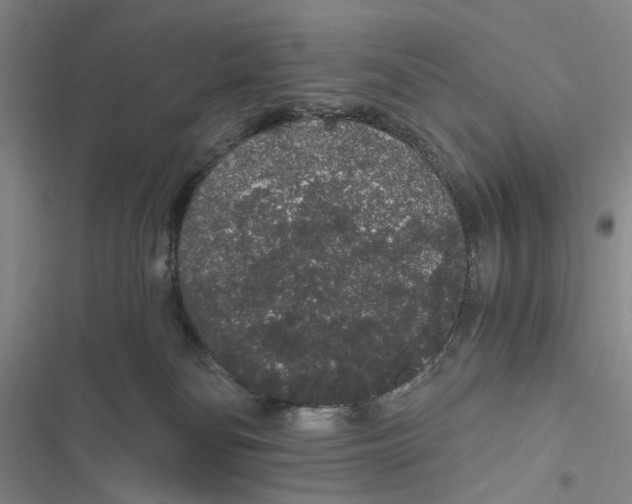 X0000116860134201001191709