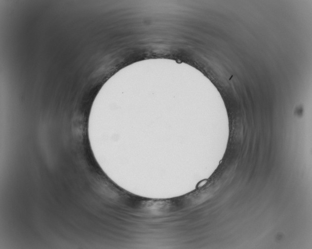 X0000116860135201001191709