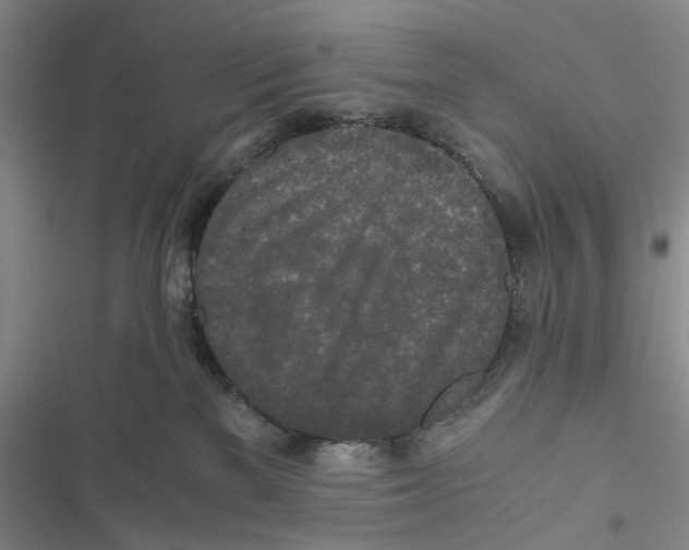 X0000116860137201001191709