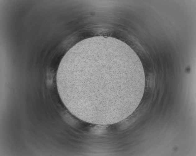 X0000116860138201001191709