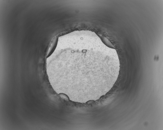 X0000116860144201001191709